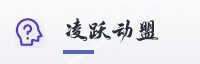 合作伙伴